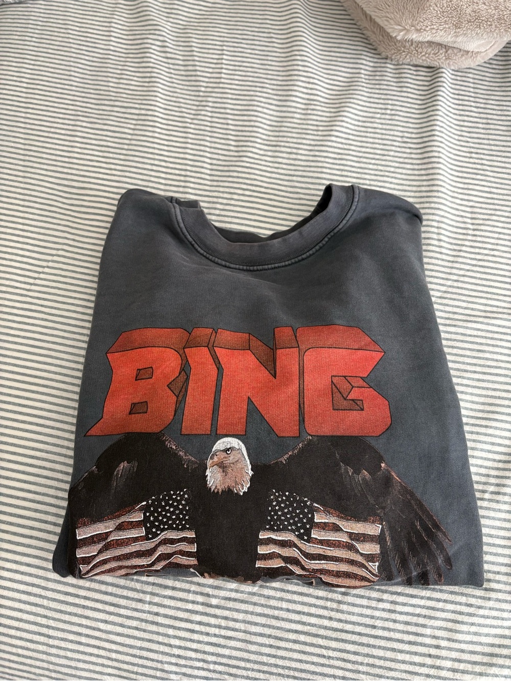 Anine Bing Charcoal Gray Crewneck Sweatshirt